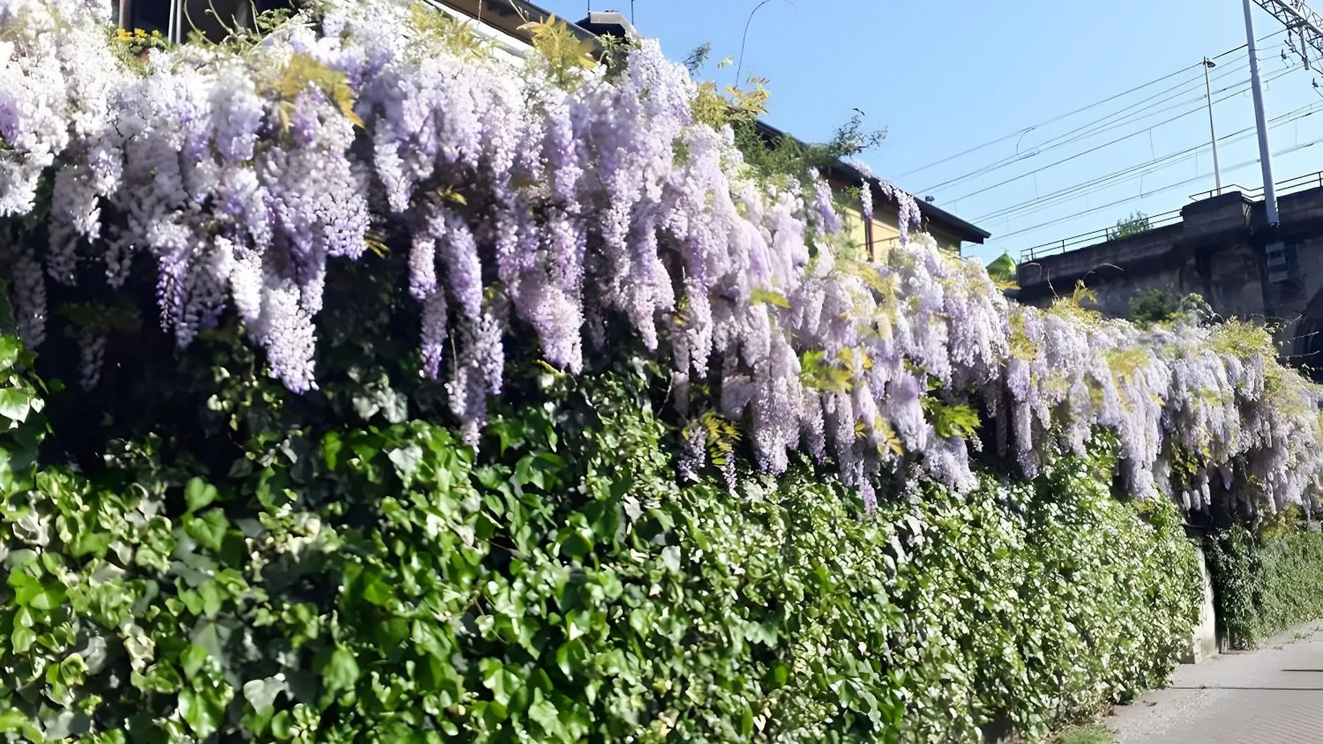 Appartamento Somare ミラノ 0*,  イタリア
